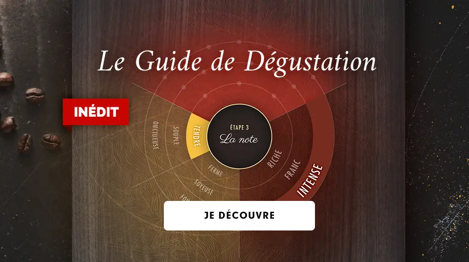 guide de dégustation