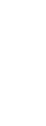 bgd-line-2